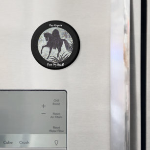 Íman Alguém Viu Meu Cabeça De Magnet?