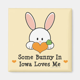 Íman Algum coelho em Iowa ama-me ímã