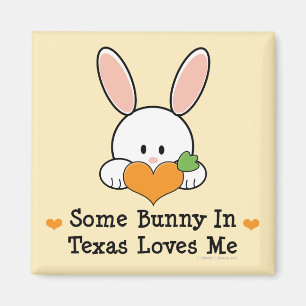 Íman Algum coelho em Texas ama-me ímã