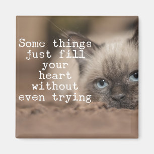 Íman Algumas Coisas Enchem Seu Coração