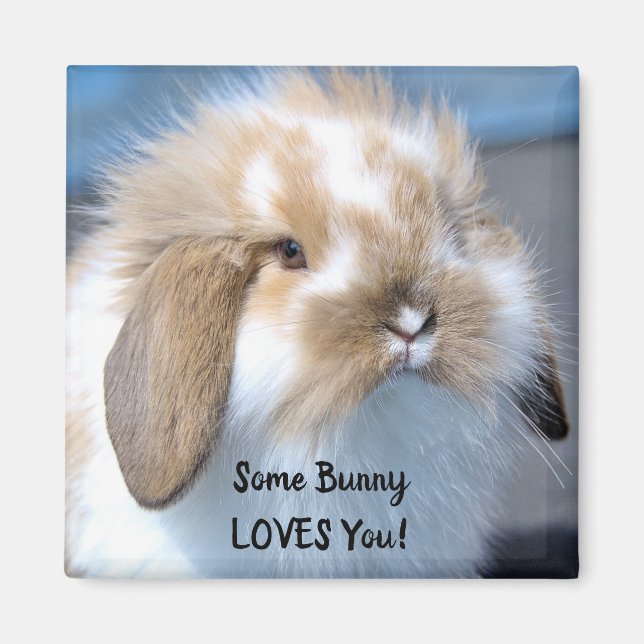 Íman Alguns Bunny Te Ama - Fluffy Holland Lop (Frente)