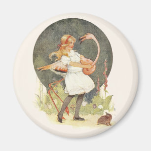 Íman Alice e o Flamingo