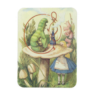 Íman Alice encontra a lagarta