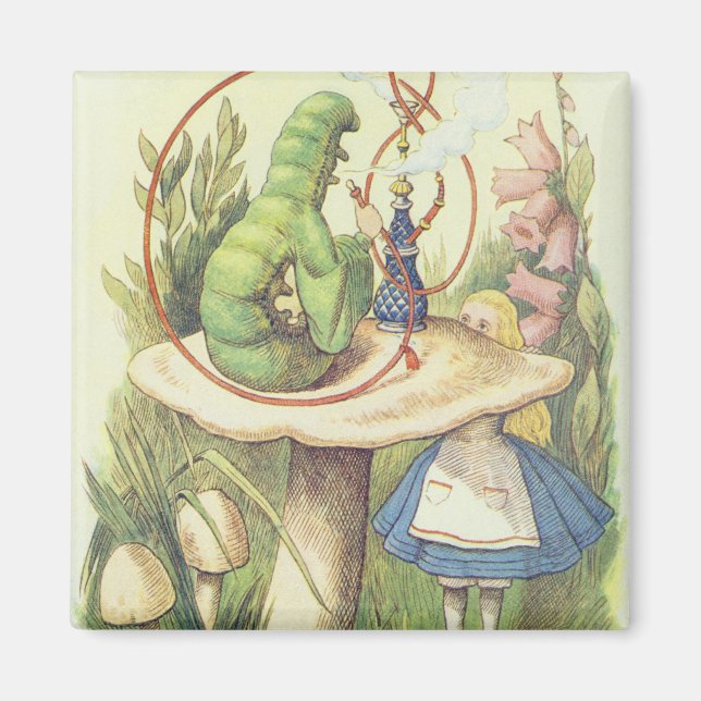 Íman Alice encontra a lagarta (Frente)