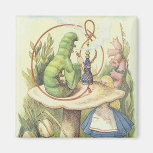 Íman Alice encontra a lagarta