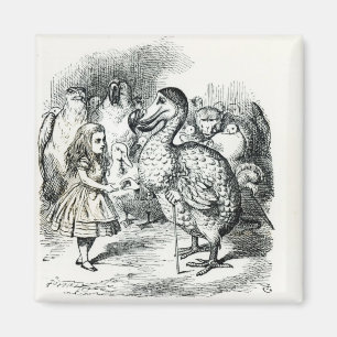 Íman Alice encontra o Dodo