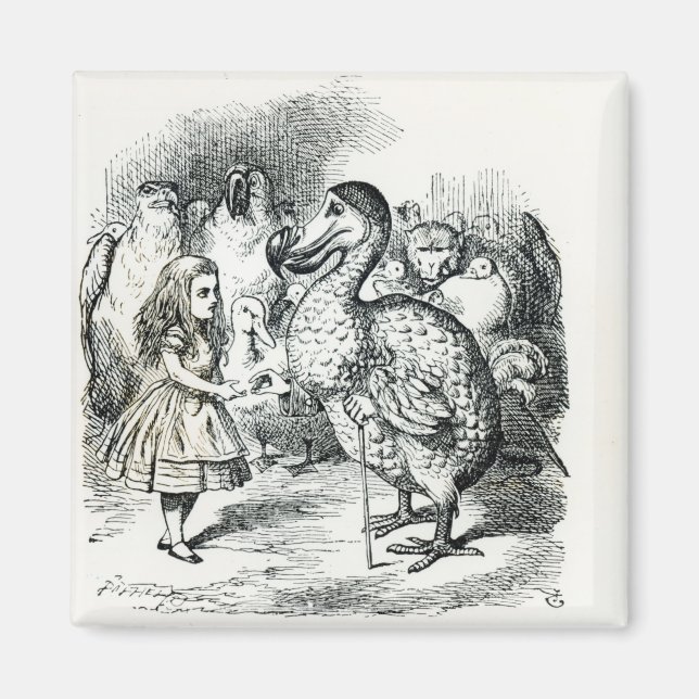 Íman Alice encontra o Dodo (Frente)