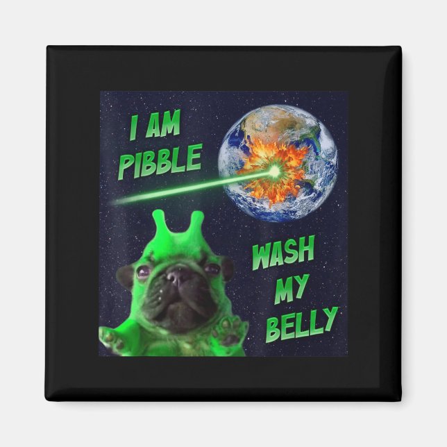 Íman Alien Bble Funny Brainrot Dog Meme Space I Am Bble (Frente)