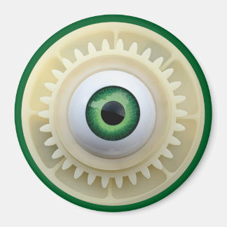 Íman Alimentação 1