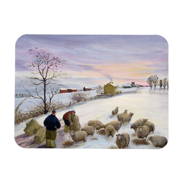 Íman Alimentação de ovelhas no inverno (Horizontal)