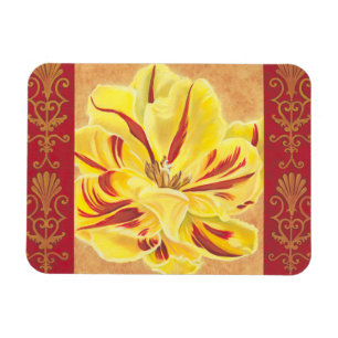 Íman Alimentação de Tulip II