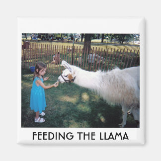 ÍMAN ALIMENTAÇÃO DO LLAMA