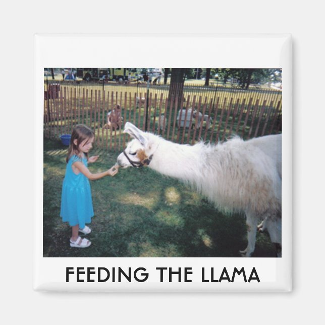 ÍMAN ALIMENTAÇÃO DO LLAMA (Frente)