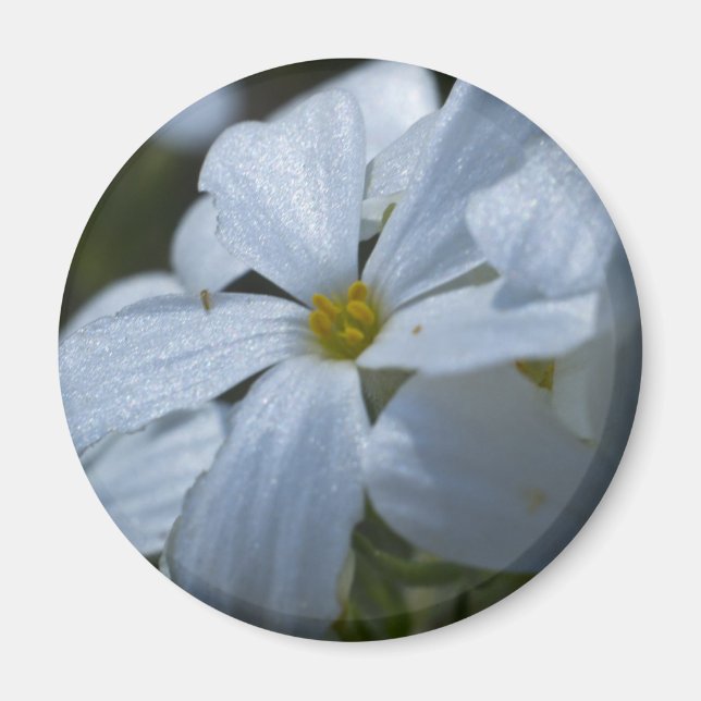 Íman Alimentação do ventilador (Frente)