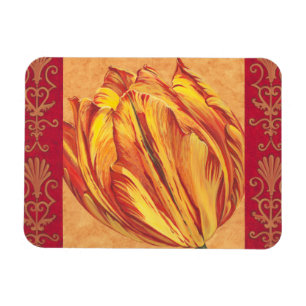 Íman Alimentação Tulip I