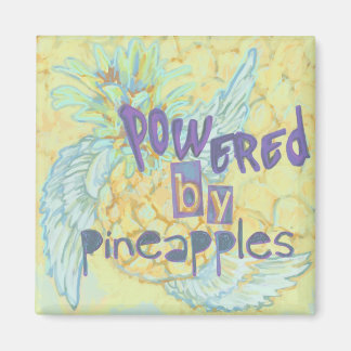 Íman Alimentado por ananás, ímãs