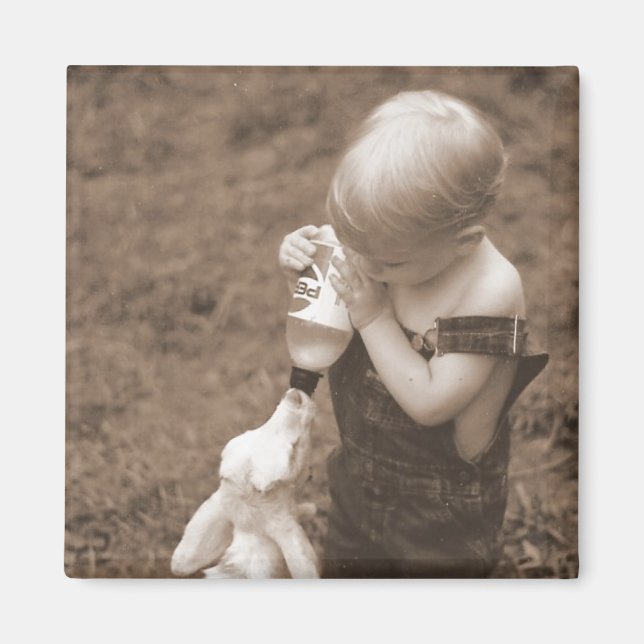 Íman Alimentando o ímã de cabra (Frente)