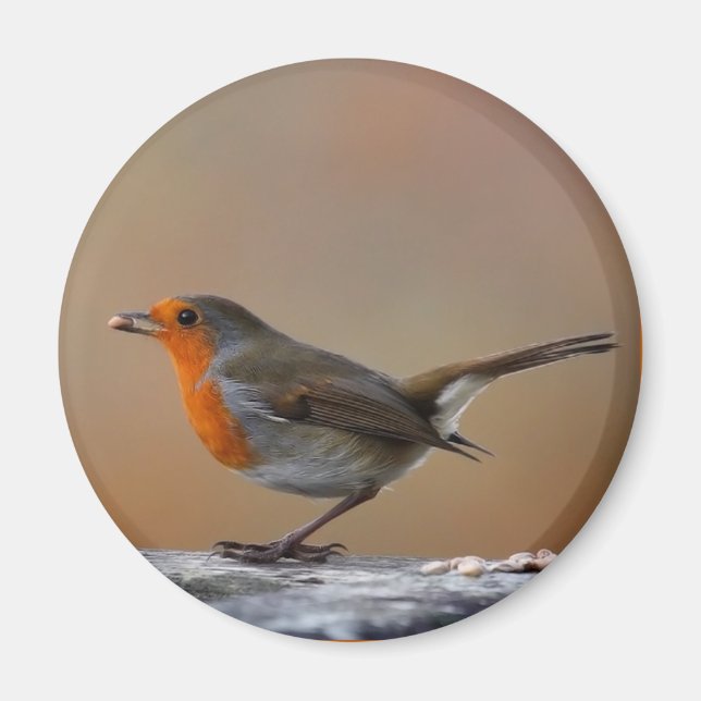 Íman Alimentando o Robin Magnet (Frente)