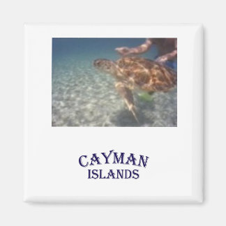 Íman Alimentando uma tartaruga