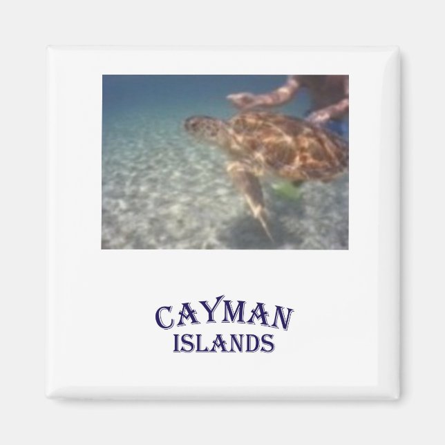 Íman Alimentando uma tartaruga (Frente)