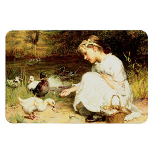 Íman Alimentar os Patos. Páscoa com otimizações de p