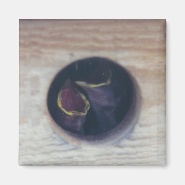 Íman ALIMENTE-NOS! -iman (Frente)