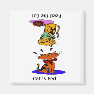 Íman Alimente O Gato