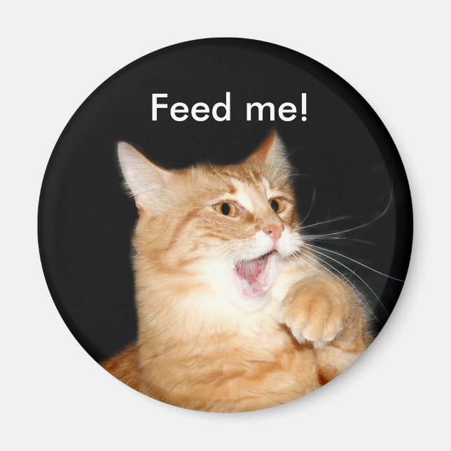 Íman Alimente o imã do gato (Frente)