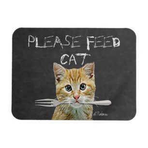 Íman Alimente por favor o gato