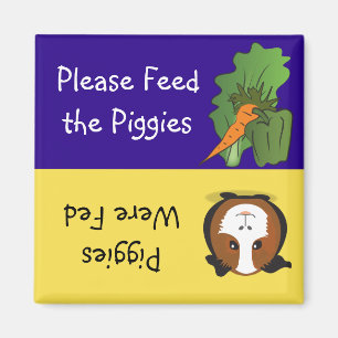 Íman Alimente por favor o Piggies