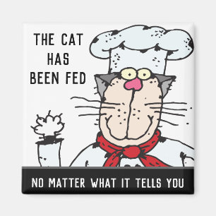 Íman Alimentou O Gato De Chef Engraçado De Gato