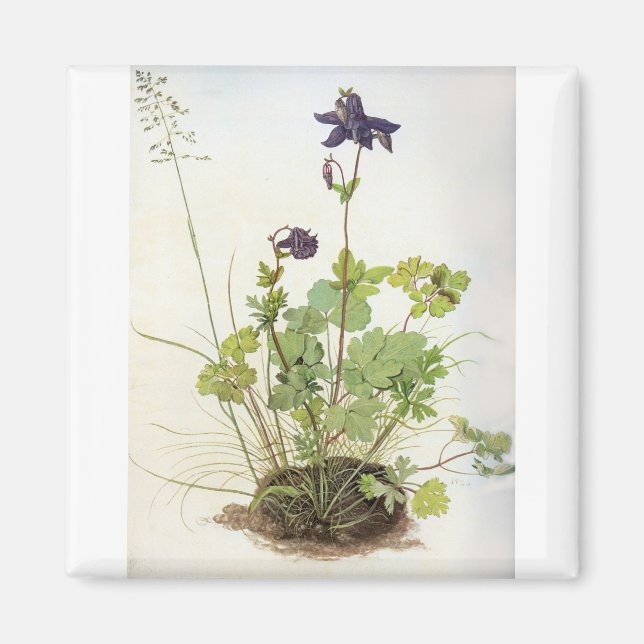 Íman Alkelei-Blume - Albrecht Durer - c1500 (Frente)