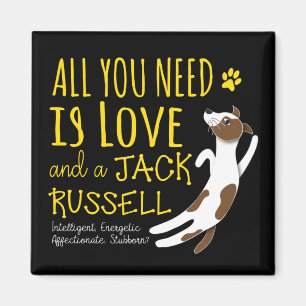 Íman All you need is love and a Jack Russell