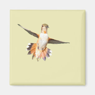 Íman Allen's Hummingbird in Flight Magnet