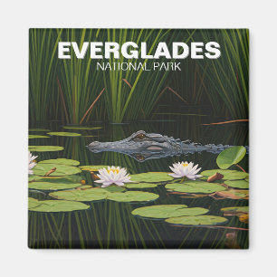 Íman Alligador do Parque Nacional Everglades na Água