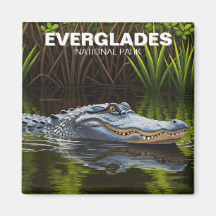 Íman Alligador no Parque Nacional de Everglades de Água