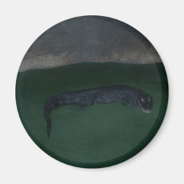 Íman Alligador - O que há na Escuridão?