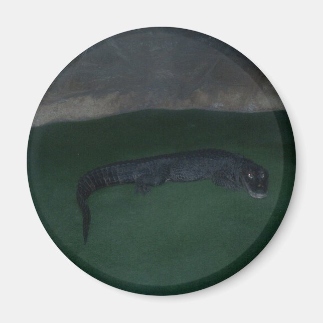 Íman Alligador - O que há na Escuridão? (Frente)