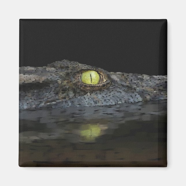 Íman Alligator americano (Frente)