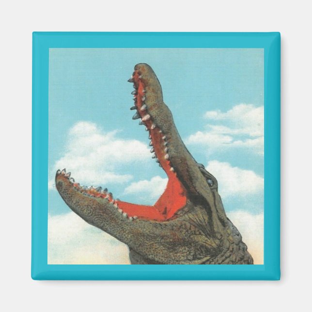 Íman Alligator Chomp (Frente)