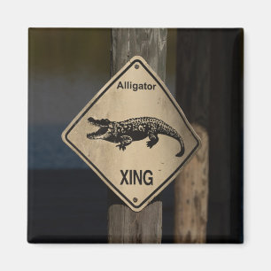 Íman Alligator Crossing Magnet