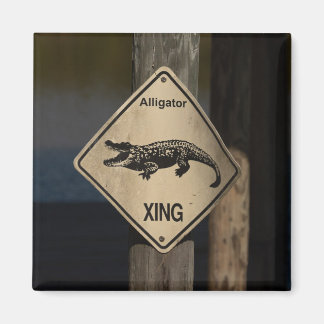Íman Alligator Crossing Magnet
