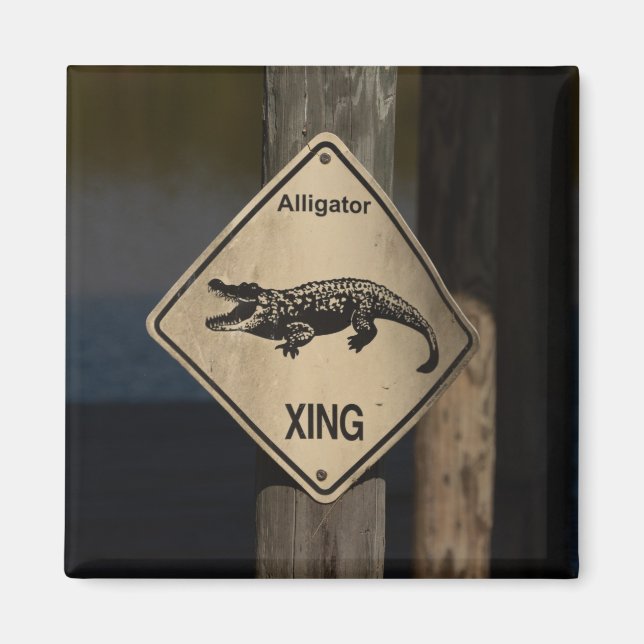 Íman Alligator Crossing Magnet (Frente)