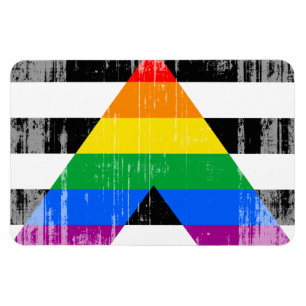 Íman ALLY FLAG DISTRESSED -.png