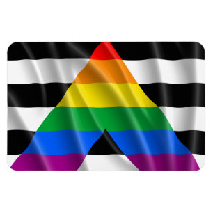 Íman ALLY FLAG FLYING -.png