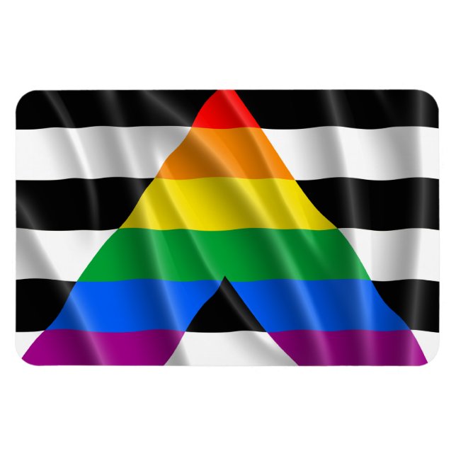 Íman ALLY FLAG FLYING -.png (Horizontal)