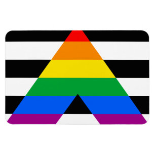 Íman ALLY FLAG ORIGINAL -.png