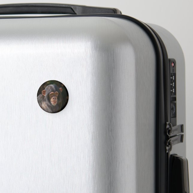 Íman Alma Brincalhona – Close-up de Chimpanzé Bebê (In Situ (Luggage))