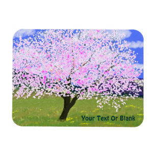 Íman Almond Tree in Bloom