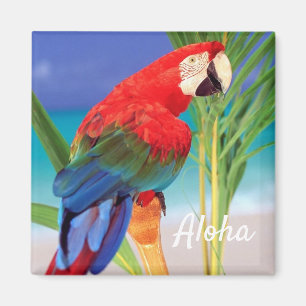 Íman Aloha Bird Magnet
